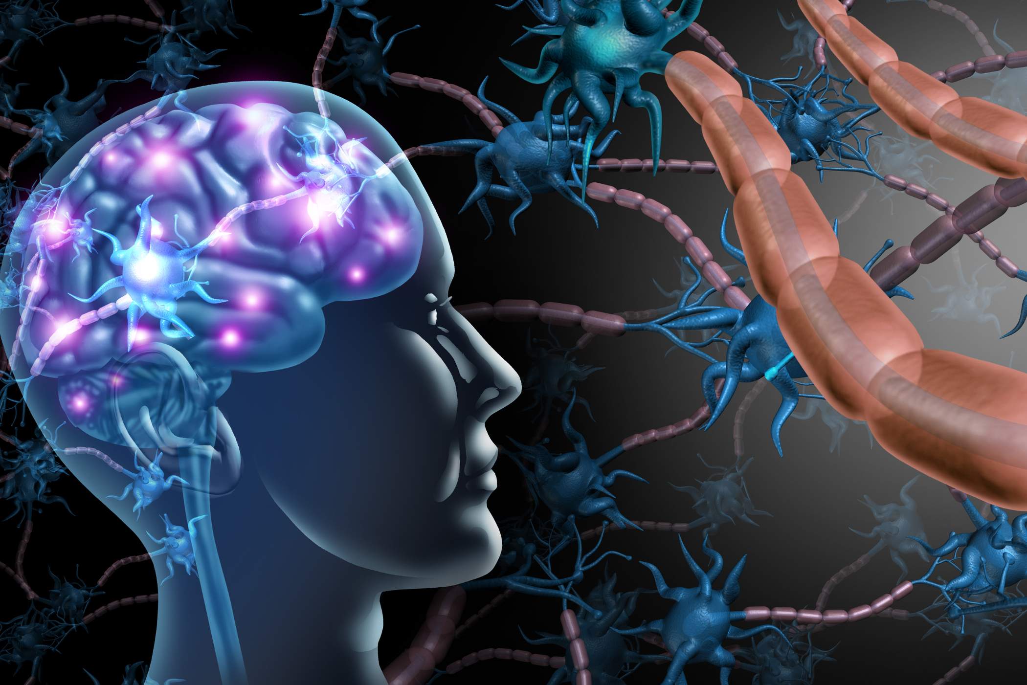The Gut-Brain Connection_ Why Stress Makes Your Digestion Worse